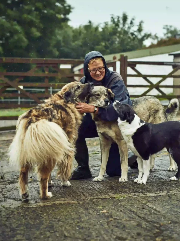 Woman petting 3 dogs.